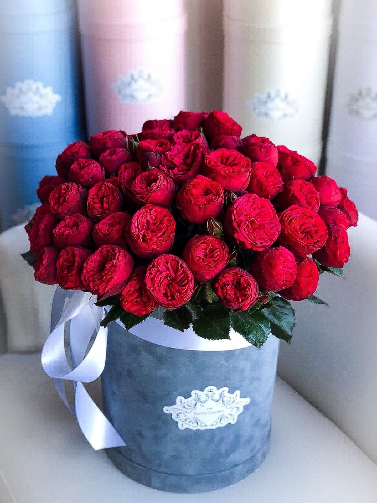 The Signature arrangement