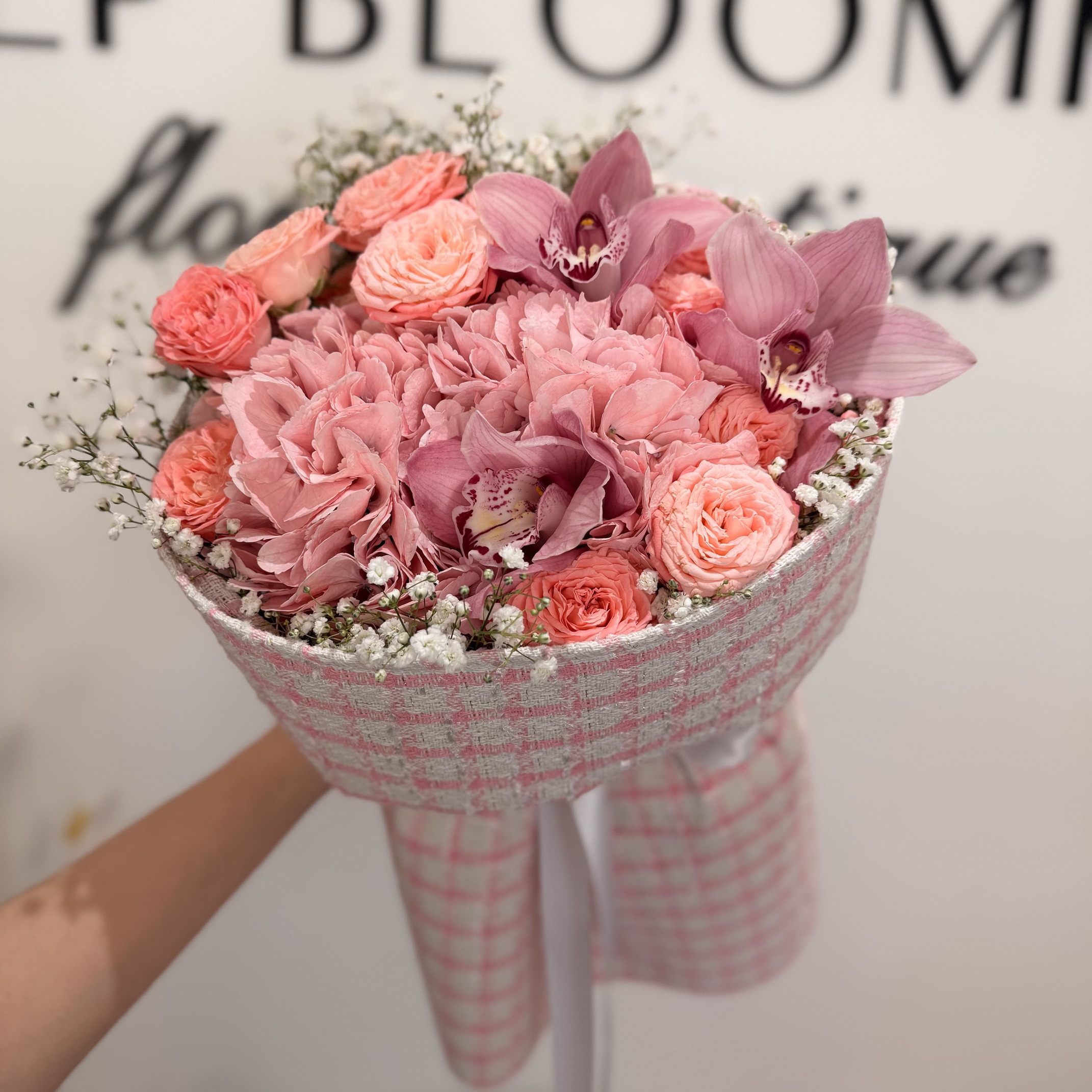 Blush Orchid Dream